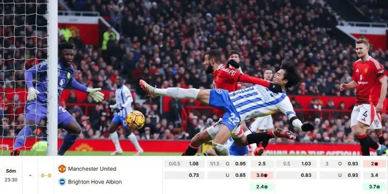 Soi kèo chi tiết dành cho trận đấu giữa Manchester United vs Brighton